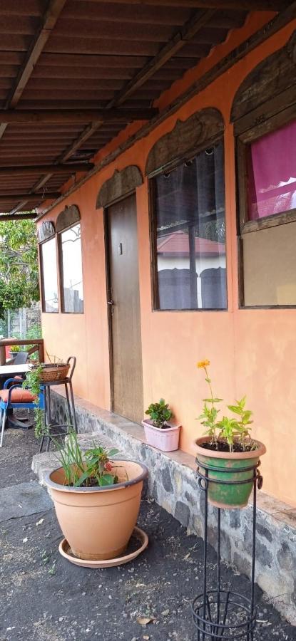 B&B Amigos De La Naturaleza Las Manchas  Phòng bức ảnh