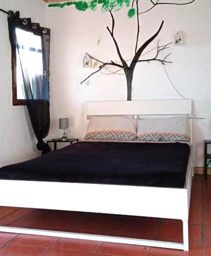 B&B Amigos De La Naturaleza Las Manchas  Ngoại thất bức ảnh